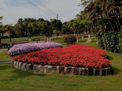 -广州莲花山旅游区