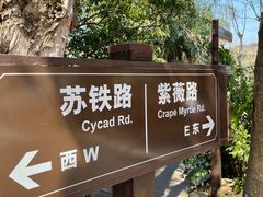 -深圳仙湖植物园