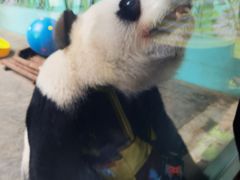 -石家庄市动物园