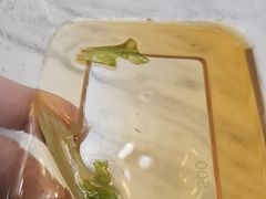 -瑞霖·隆江猪脚饭