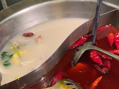 -麻田会 ·鲜活现烹·牛蛙火锅(珠江新城维家思广场店)