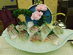 -日盛世濠渔港(肇庆店)