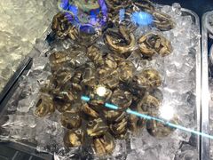 -铭聚章鱼土笋冻(松柏店)