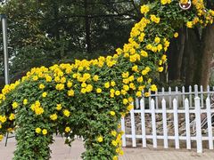 -南山植物园