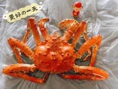 -江阳水产市场