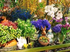 -解香楼(八盘岭路店)