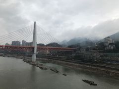 -一只酸奶牛(八一路店)
