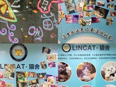 -lincat·猫舍(广州店)