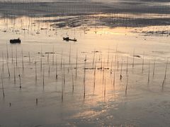 -北岐滩涂