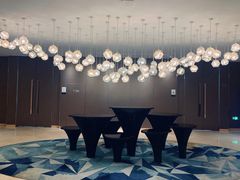 -苏州金鸡湖文博诺富特酒店