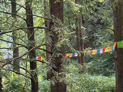 -东天目山风景区