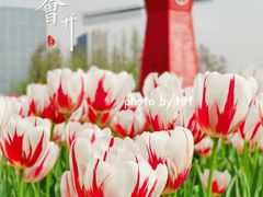 -大宁公园