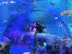 -沈阳海洋探索中心