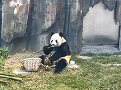 -大连森林动物园