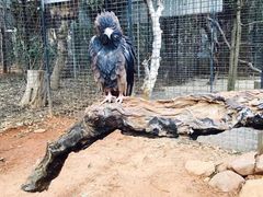 -费瑟代尔野生动物园