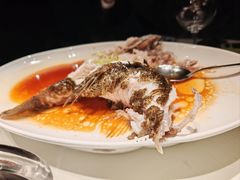 -侨美·唐荔园·40年地道粤菜