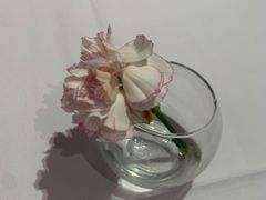 -眉州东坡(国贸店)