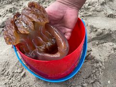 -北戴河东海水浴场