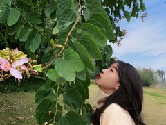 -白鹭湾湿地公园