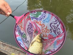 -酷鱼垂钓CLUB(朝阳区博大路店 )