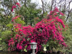 -深圳国际园林花卉博览园