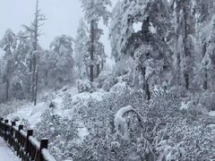-瓦屋山景区