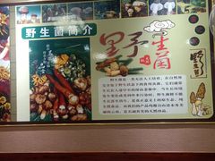 -菌之家·专业纯野生菌火锅·特色炒菌