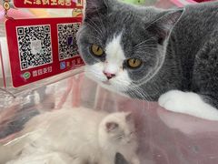 -BHG时尚百货(望京店)
