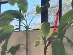-单家老院·院子里的青岛菜(沙子口店)