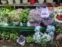 -三旗百汇商品城