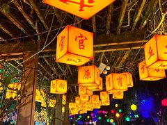 -广西壮族自治区药用植物园