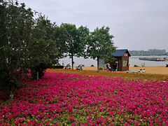 -武清南湖绿博园