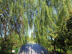 -西安汉城湖景区