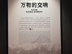 -四川大学博物馆