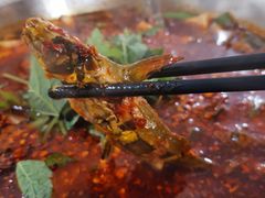黄辣丁-彭大姐老店黄辣丁(新津店)