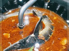 -白洋淀灶台鱼(名佳花园店)