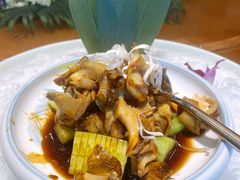 温拌海螺-新海渔港·胶东海鲜家常菜·家宴(奥体中心店)
