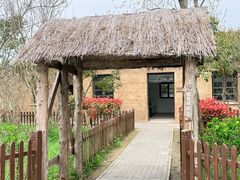 -盐城丹顶鹤湿地生态旅游区