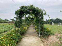 -紫颐香薰山谷景区