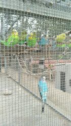 -上美四季动物农场