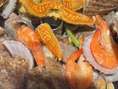 -悦海·家宴·冰花皮皮虾大锅贴(宝龙店)