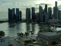 -新加坡文华东方酒店