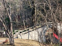 -青龙山国家森林公园