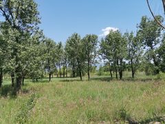 -野鸭湖国家湿地公园