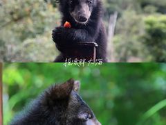 -普洱太阳河森林公园