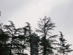 -塔子山公园