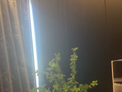 -华夏良子·足道SPA艾灸(金皇大厦店)