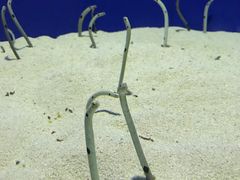 -上海海洋水族馆