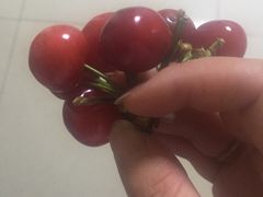 -彤德莱火锅(大学城店)