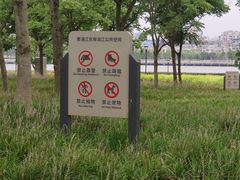 -上海山野camping·户外天幕烧烤·团建拓展营地